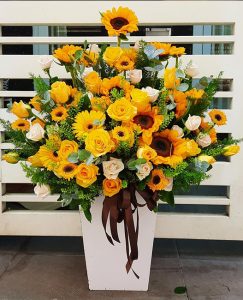 Điện hoa tươi huyện Chư Pah, hoa tươi đẹp, shop hoa tươi tại Chư Pah.